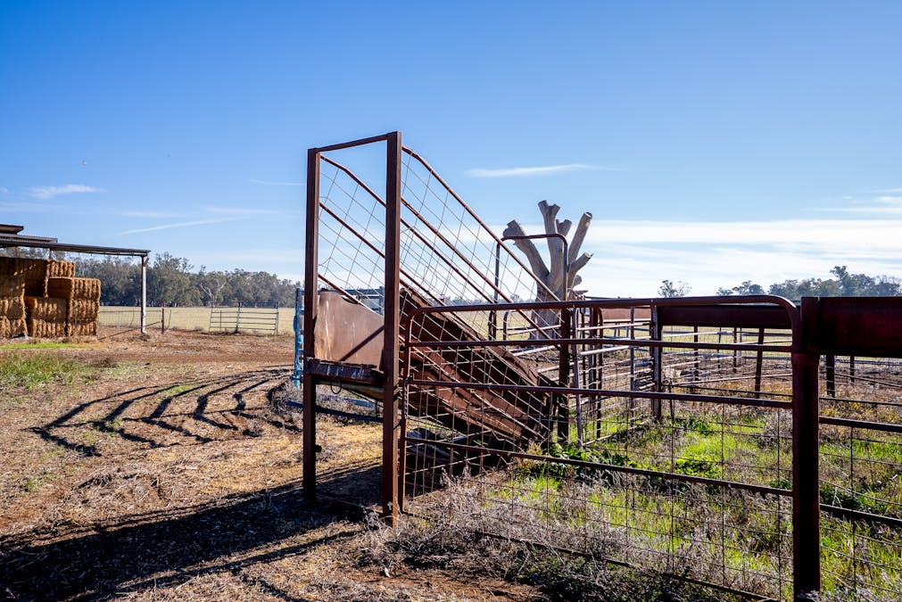 2594 Bedgerabong Road, Forbes, NSW, 2871 - Image 10