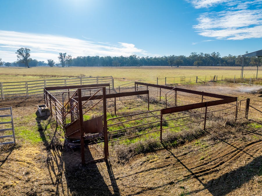 2594 Bedgerabong Road, Forbes, NSW, 2871 - Image 11