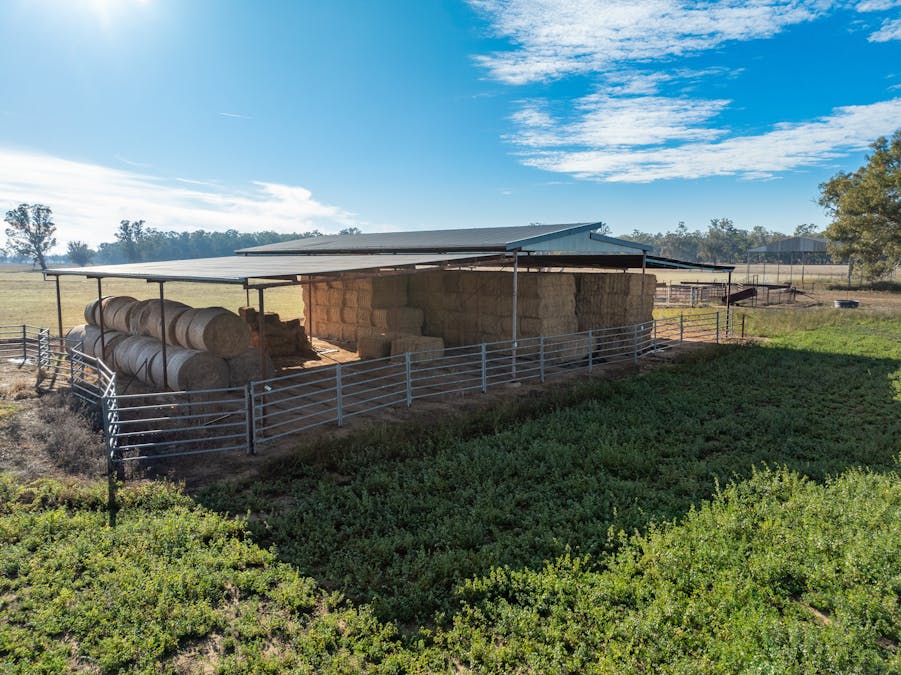 2594 Bedgerabong Road, Forbes, NSW, 2871 - Image 13