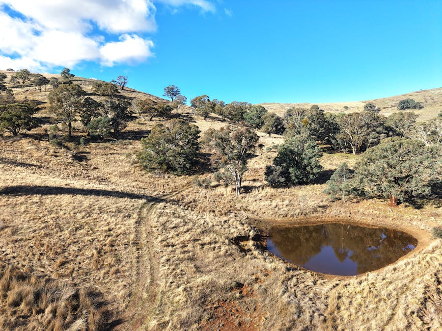 355 Gallymont Road, Mandurama, NSW, 2792 - Image 5