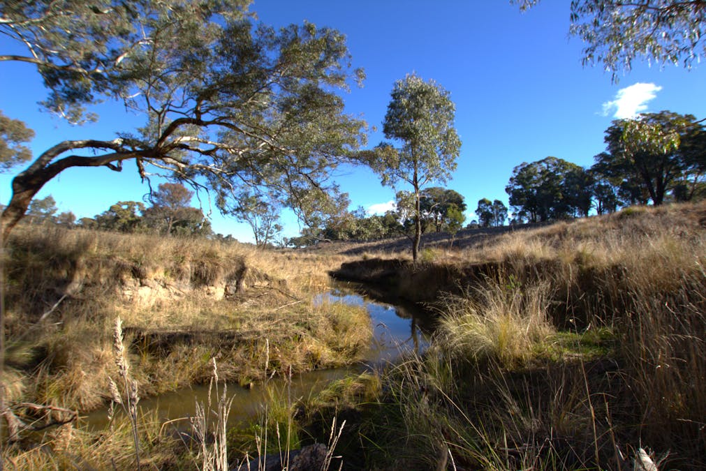 355 Gallymont Road, Mandurama, NSW, 2792 - Image 4