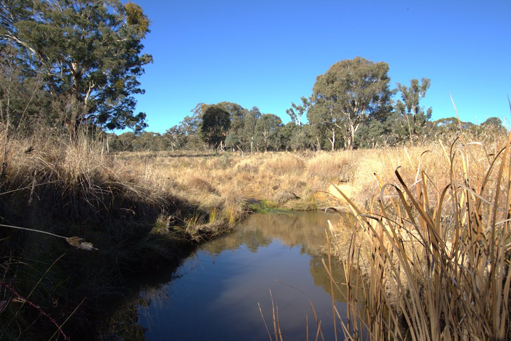 355 Gallymont Road, Mandurama, NSW, 2792 - Image 9