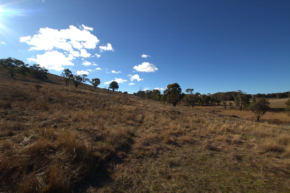 355 Gallymont Road, Mandurama, NSW, 2792 - Image 12