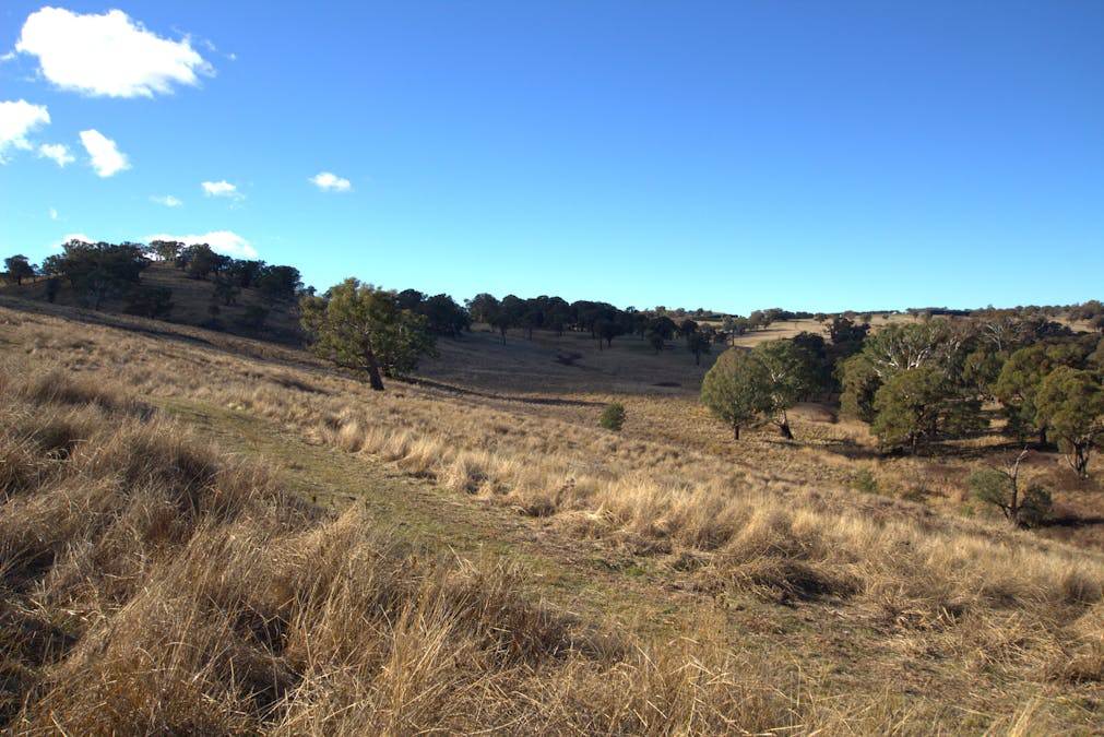 355 Gallymont Road, Mandurama, NSW, 2792 - Image 13