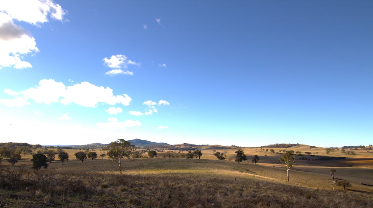 355 Gallymont Road, Mandurama, NSW, 2792 - Image 14