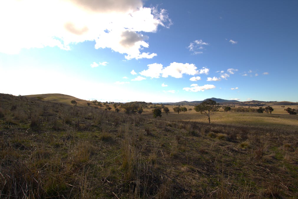 355 Gallymont Road, Mandurama, NSW, 2792 - Image 15