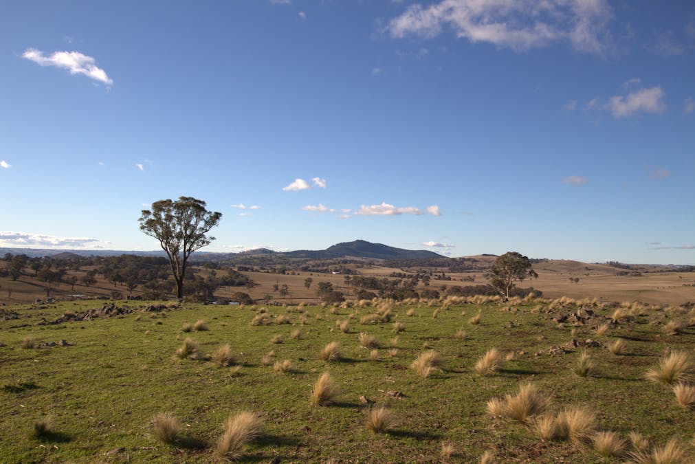 355 Gallymont Road, Mandurama, NSW, 2792 - Image 18