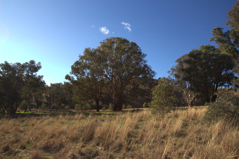 355 Gallymont Road, Mandurama, NSW, 2792 - Image 16
