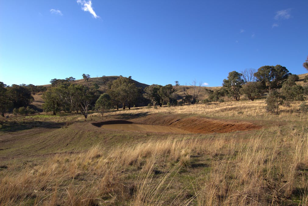 355 Gallymont Road, Mandurama, NSW, 2792 - Image 10