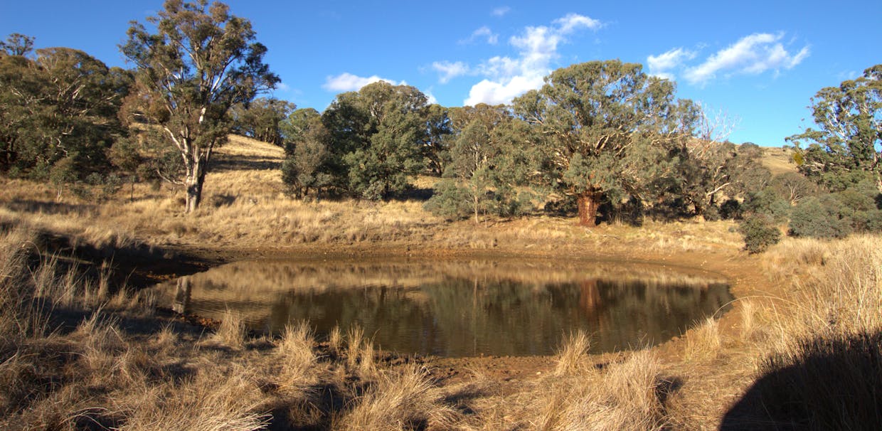 355 Gallymont Road, Mandurama, NSW, 2792 - Image 2
