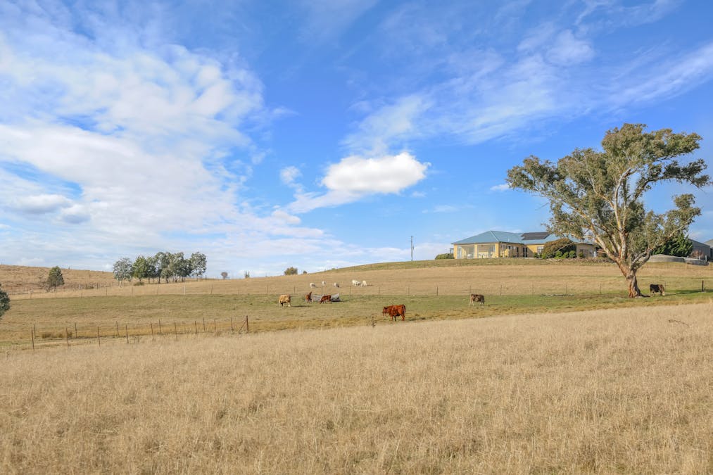 1525 Trunkey Road, Georges Plains, NSW, 2795 - Image 29