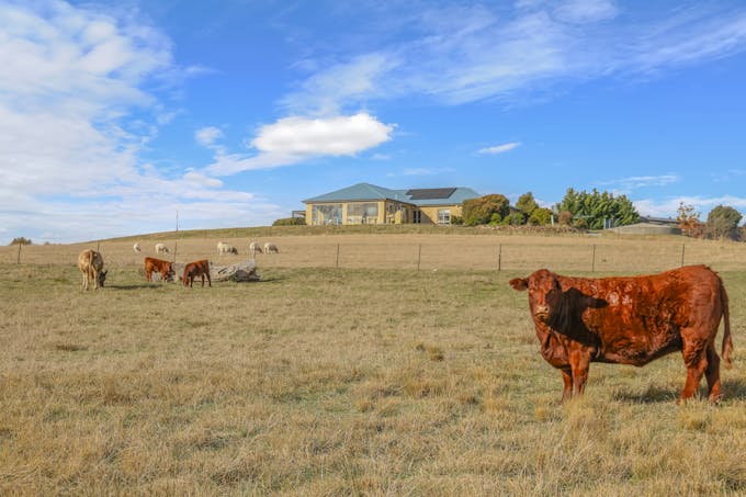 1525 Trunkey Road, Georges Plains, NSW, 2795 - Image 1