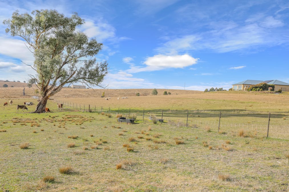 1525 Trunkey Road, Georges Plains, NSW, 2795 - Image 30