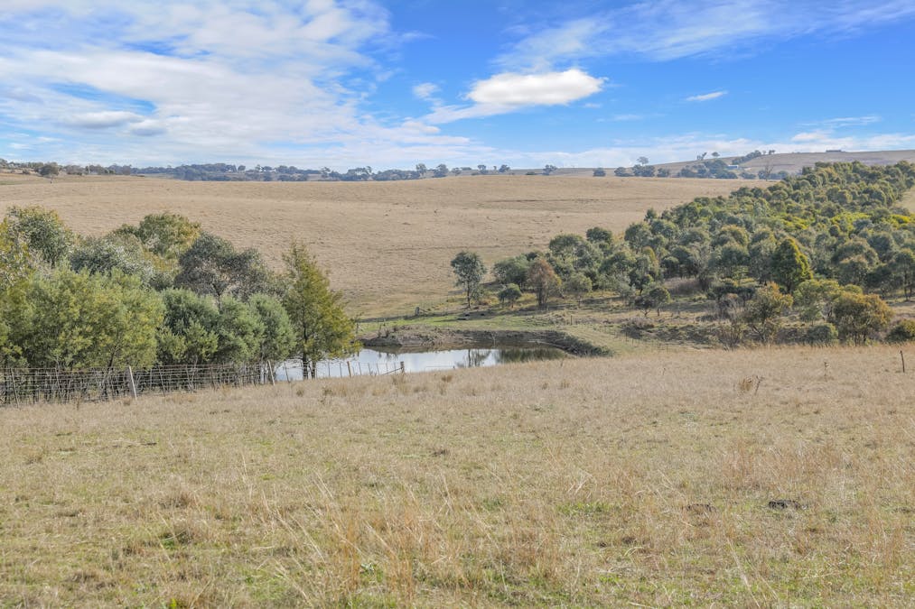 1525 Trunkey Road, Georges Plains, NSW, 2795 - Image 31