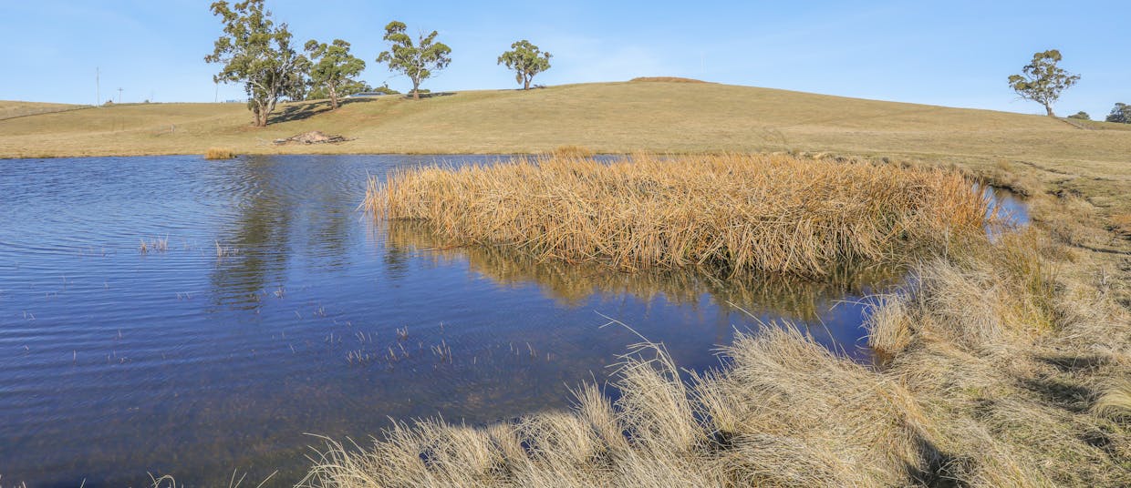 461/72 Humphries Drive, Oberon, NSW, 2787 - Image 5