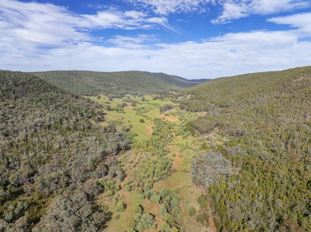 'Part Wattle Valley' Kangarooby Road, Gooloogong, NSW, 2805 - Image 1