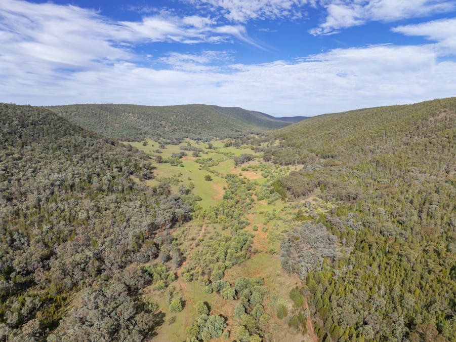 'Part Wattle Valley' Kangarooby Road, Gooloogong, NSW, 2805 - Image 1