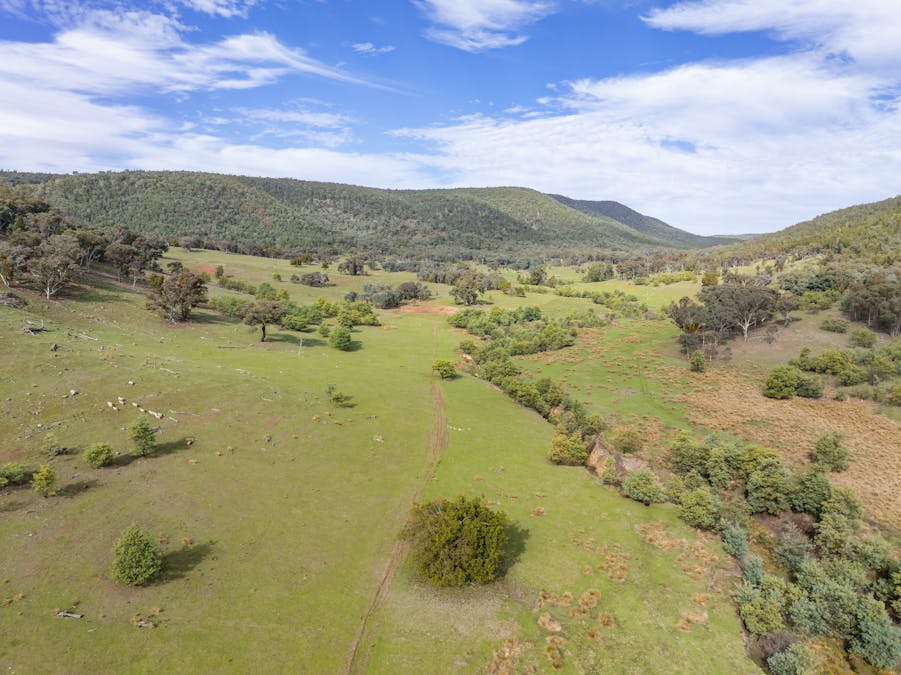 'Part Wattle Valley' Kangarooby Road, Gooloogong, NSW, 2805 - Image 3
