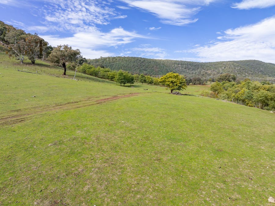 'Part Wattle Valley' Kangarooby Road, Gooloogong, NSW, 2805 - Image 2