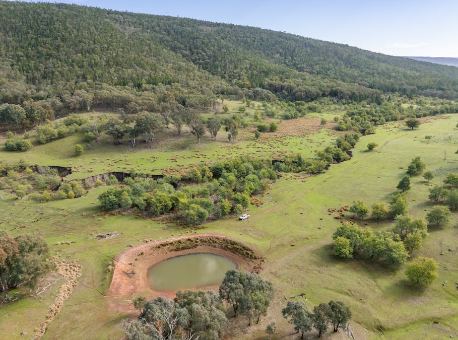 'Part Wattle Valley' Kangarooby Road, Gooloogong, NSW, 2805 - Image 7