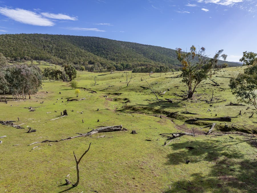 'Part Wattle Valley' Kangarooby Road, Gooloogong, NSW, 2805 - Image 9