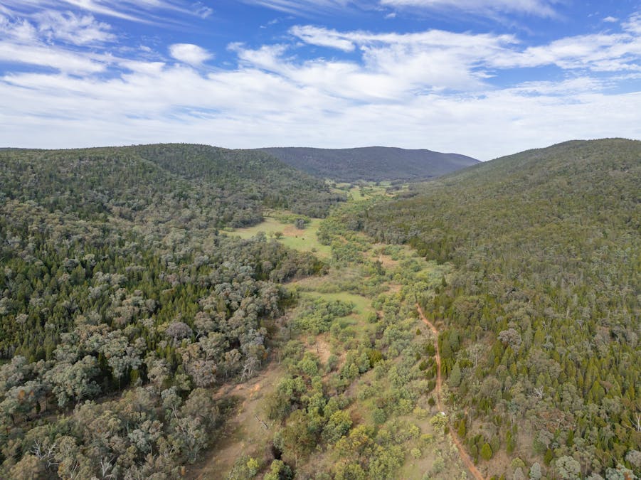 'Part Wattle Valley' Kangarooby Road, Gooloogong, NSW, 2805 - Image 11