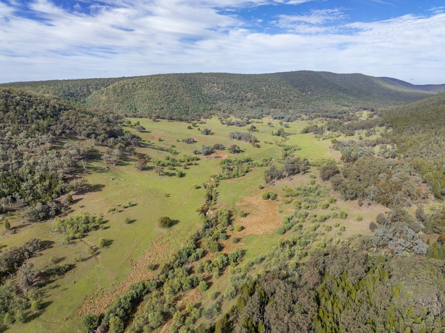 'Part Wattle Valley' Kangarooby Road, Gooloogong, NSW, 2805 - Image 12