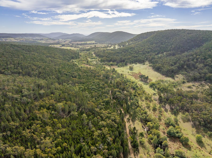 'Part Wattle Valley' Kangarooby Road, Gooloogong, NSW, 2805 - Image 13