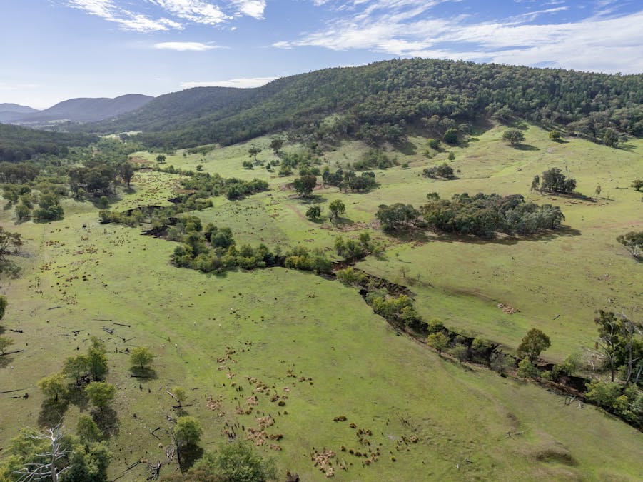 'Part Wattle Valley' Kangarooby Road, Gooloogong, NSW, 2805 - Image 22