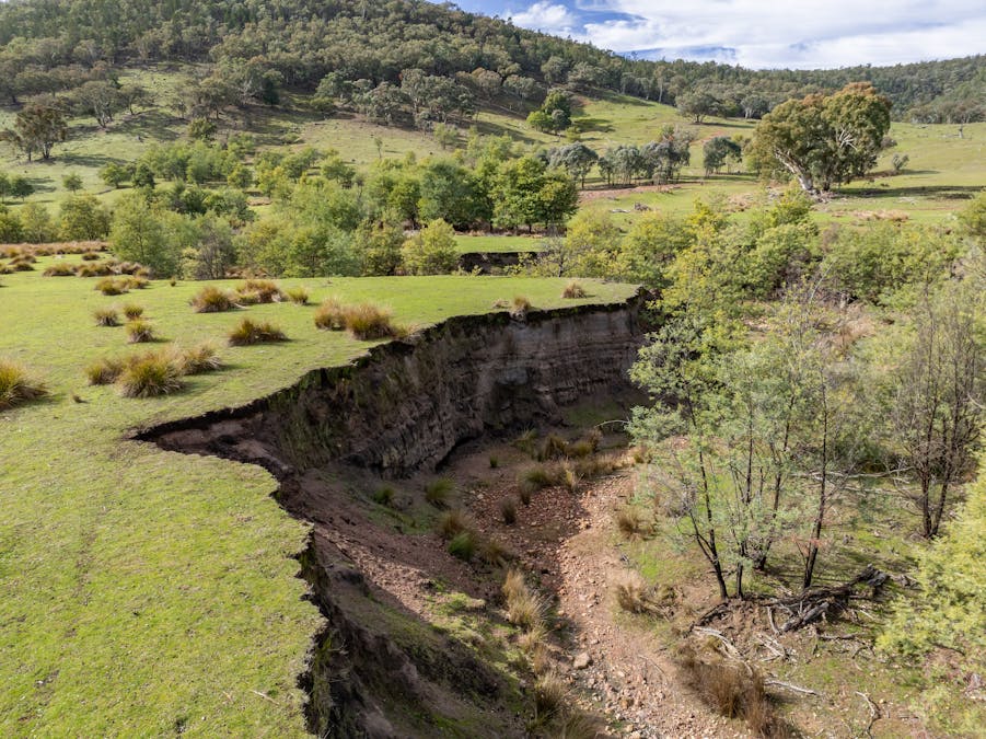 'Part Wattle Valley' Kangarooby Road, Gooloogong, NSW, 2805 - Image 23