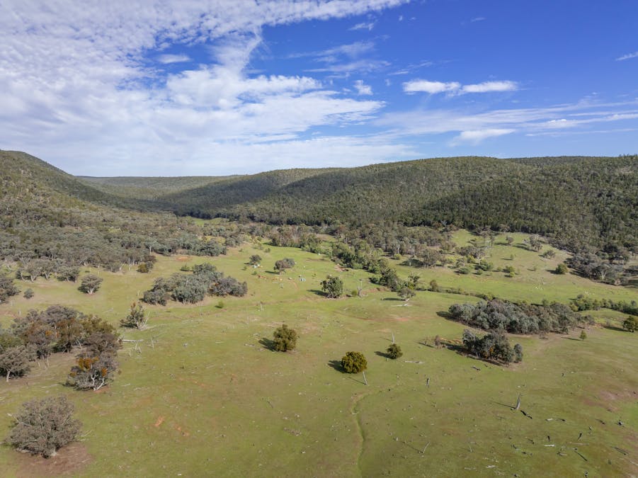 'Part Wattle Valley' Kangarooby Road, Gooloogong, NSW, 2805 - Image 24