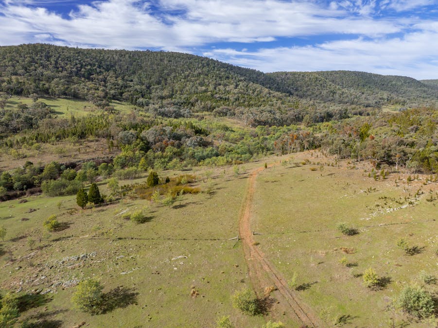 'Part Wattle Valley' Kangarooby Road, Gooloogong, NSW, 2805 - Image 25