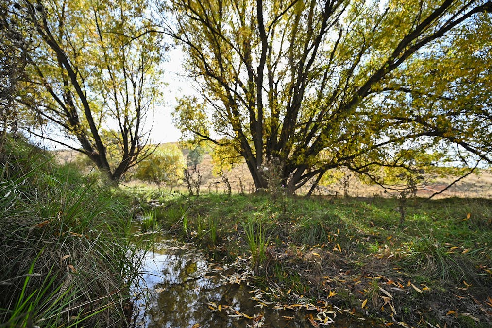 2585 Burraga Road, Burraga, NSW, 2795 - Image 14