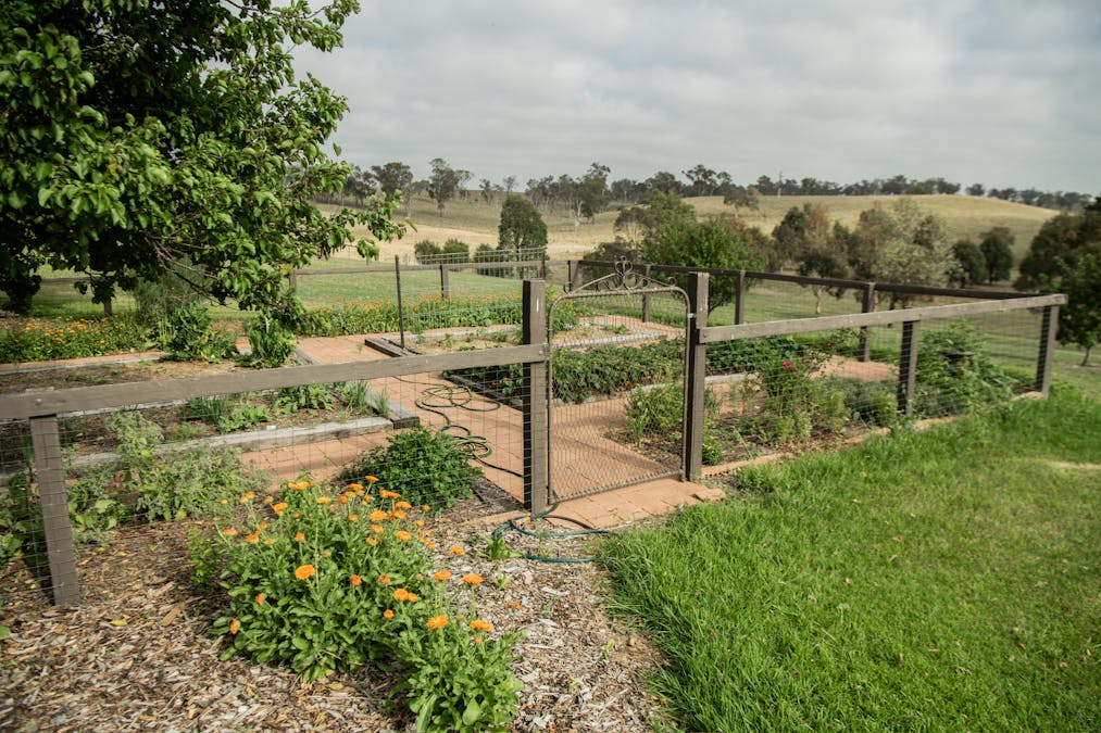 128 Cows Flat Road, Georges Plains, NSW, 2795 - Image 16