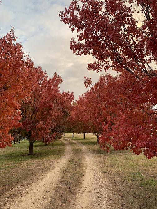 128 Cows Flat Road, Georges Plains, NSW, 2795 - Image 20