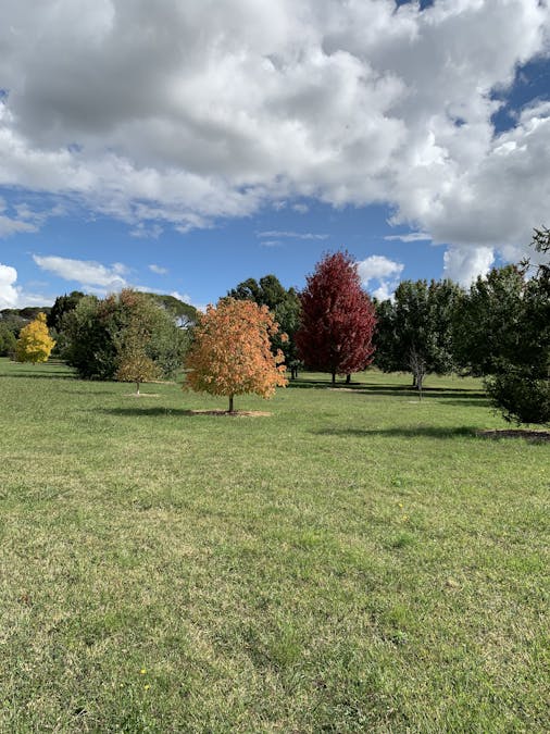 128 Cows Flat Road, Georges Plains, NSW, 2795 - Image 21