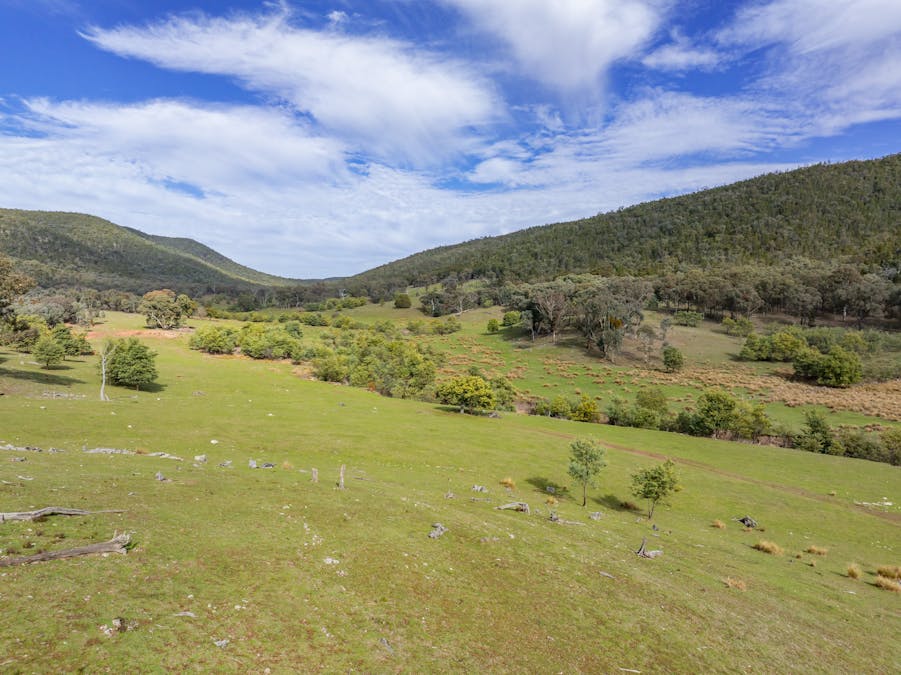 'Part Wattle Valley' Kangarooby Road, Gooloogong, NSW, 2805 - Image 4