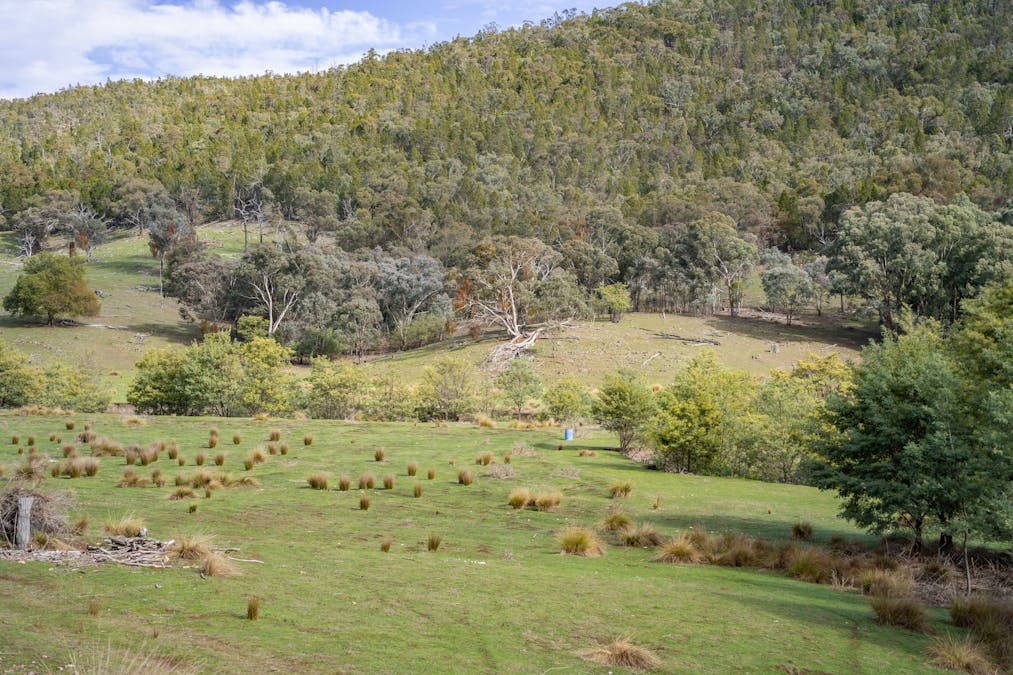 'Part Wattle Valley' Kangarooby Road, Gooloogong, NSW, 2805 - Image 8