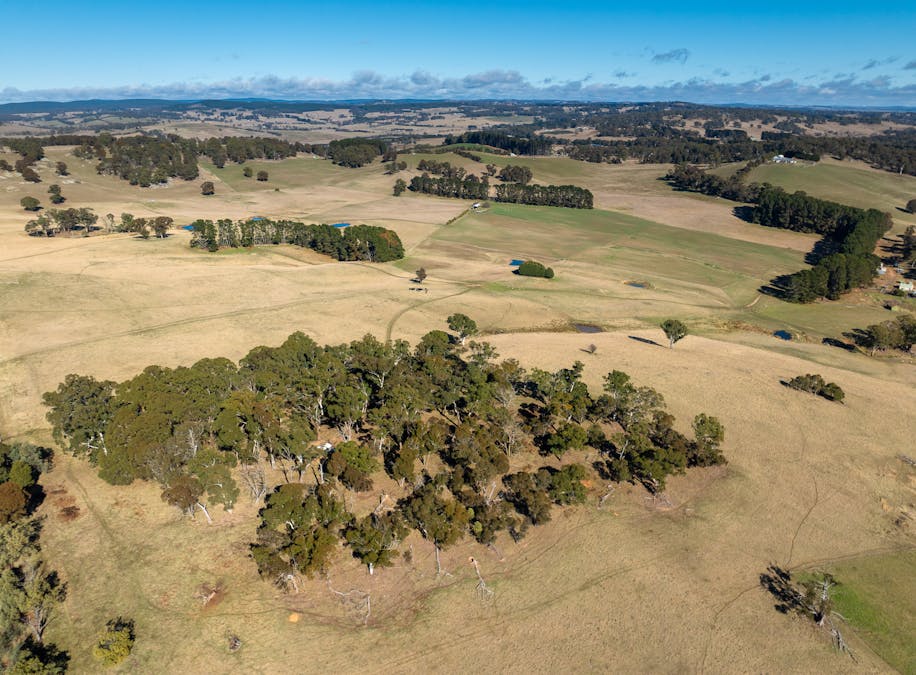 658 Duckmaloi Road, Oberon, NSW, 2787 - Image 13