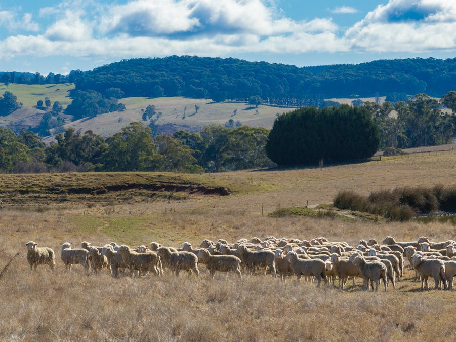 658 Duckmaloi Road, Oberon, NSW, 2787 - Image 3