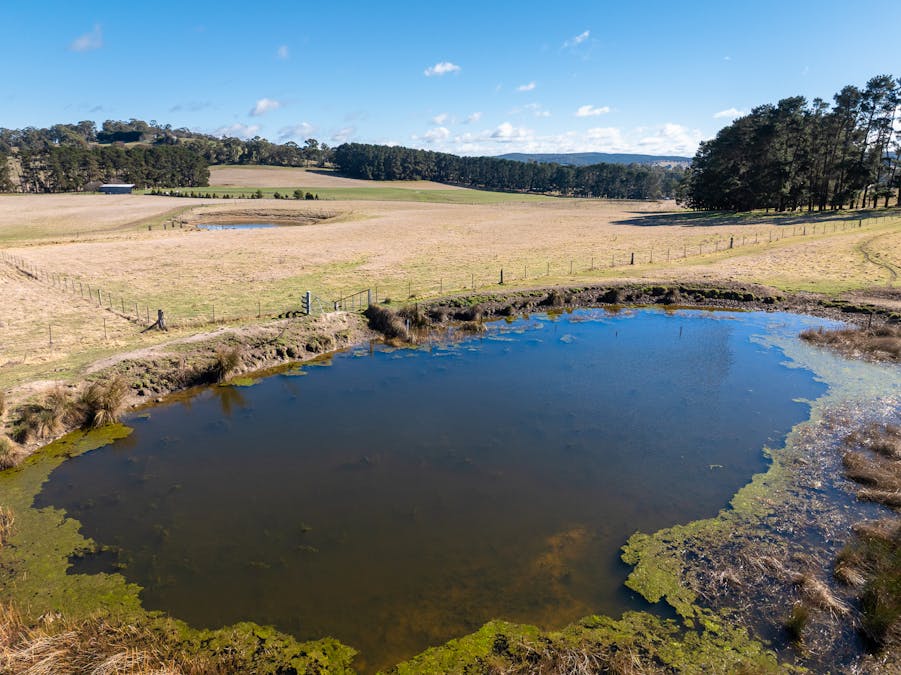 658 Duckmaloi Road, Oberon, NSW, 2787 - Image 9