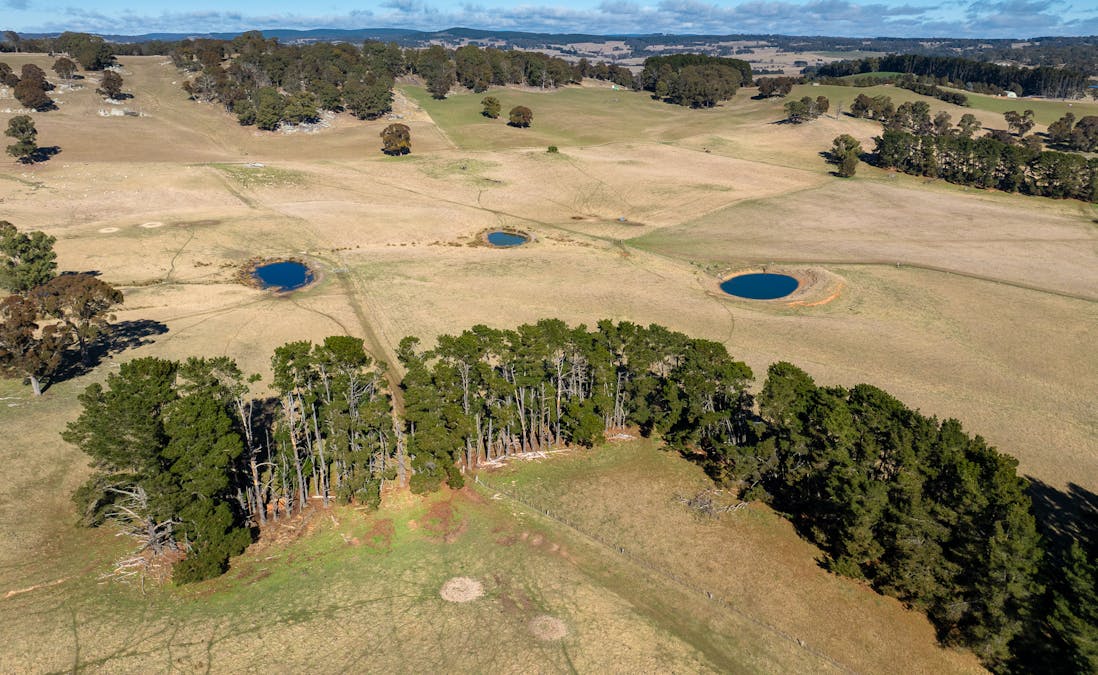 658 Duckmaloi Road, Oberon, NSW, 2787 - Image 14