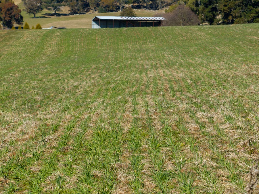 658 Duckmaloi Road, Oberon, NSW, 2787 - Image 7