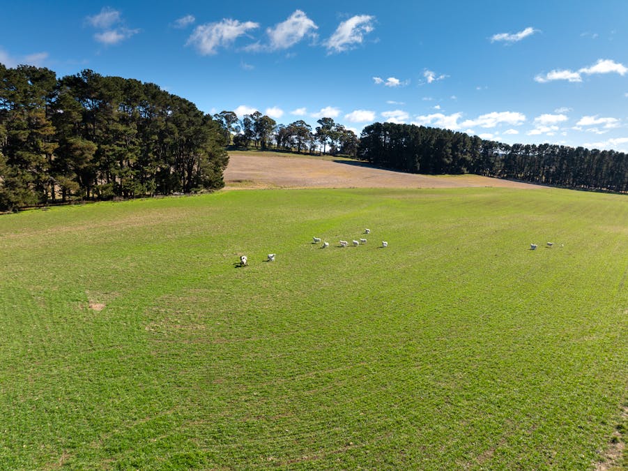 658 Duckmaloi Road, Oberon, NSW, 2787 - Image 6