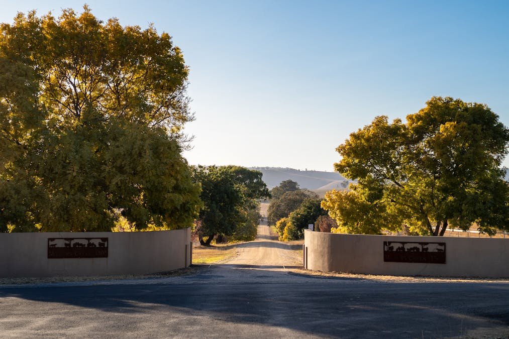 1507 Pine Mount Road, Woodstock, NSW, 2793 - Image 4