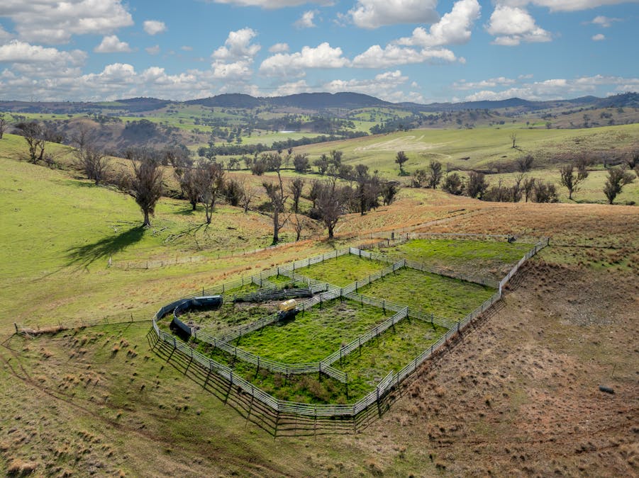 1507 Pine Mount Road, Woodstock, NSW, 2793 - Image 33