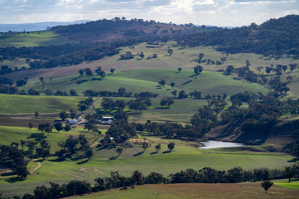 1507 Pine Mount Road, Woodstock, NSW, 2793 - Image 18