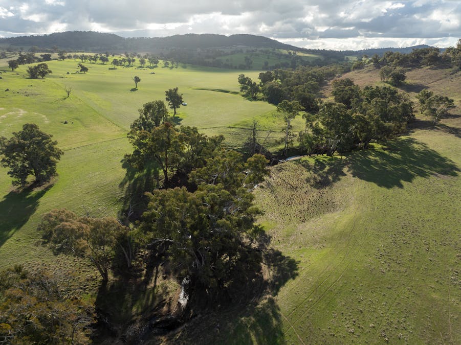1507 Pine Mount Road, Woodstock, NSW, 2793 - Image 6