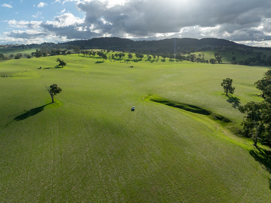 1507 Pine Mount Road, Woodstock, NSW, 2793 - Image 3