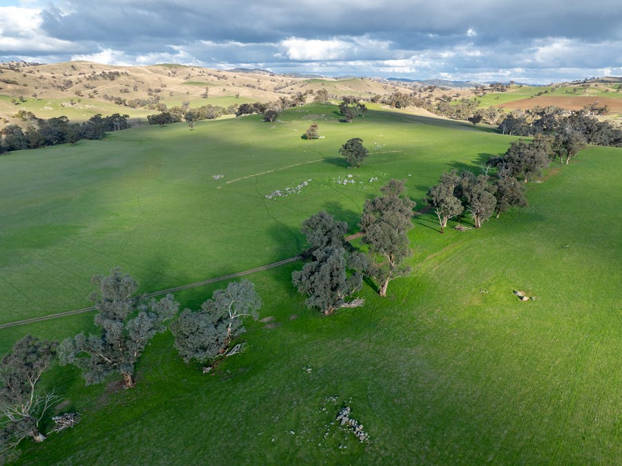 1507 Pine Mount Road, Woodstock, NSW, 2793 - Image 20